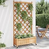 Homgoday Pflanzkübel mit Rankgitter und Rollen Blumenkübel mit Gartenspalier, Blumenkasten mit...