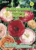 Papaver rhoeas, Seidenmohn, Mischung N.L.Chrestensen Samen 554518-B