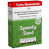 Pronto Seed Rasensamen – 1,4 kg Premium-Qualität, 84 m2 Abdeckung für Nachsaat – schnell...
