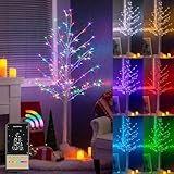 DELICHTER Lichterbaum Lichterzweige für Innen 135 Bunten LEDs Birken