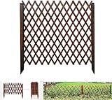 Lattenzaun-Paneele, Teleskop-Maschendrahtzaun zum Klettern von Pflanzen, Spalier, dekorative...