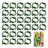 200 Stück Pflanze Clips Kunststoff Tomatenringe Tomatenclips Pflanzenclips Pflanzenklammern Rebe...