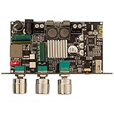 Luobannm -1001U Gleichstrom 9-24V Mono 100W BT Verstärkerplatine für APP Verstärker Chip...