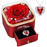 FRFG Ewige Echte Rose mit Halskette, Muttertagsgeschenke für Mama, Geschenk Weihnachten Ewige...