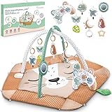 Nukido Interaktiv 5in1 Spielbogen Baby Mädchen Junge – Baby Krabbeldecke mit Spielbogen Babies...