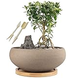 MUZHI Bonsai-Topf aus Keramik, rund, unglasiert, mit Bambus-Tablett, groß, grobe Keramik,...