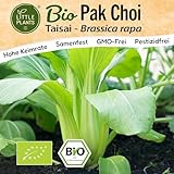 Little Plants BIO Pak Choi Samen 100 Pak Choi Saatgut Taisai Gemüsesamen für Gemüsegarten...