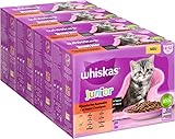 Whiskas Junior Katzennassfutter Klassische Auswahl in Sauce, 48 Portionsbeutel, 12x85g (4er Pack)...