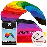 Wolkenstürmer® Paraflex Basic 1.2 (Rainbow) Kite - 2-Leiner Lenkmatte mit Flugschlaufen –...