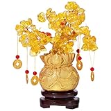 IMIKEYA Geldbaum Feng Shui Glücksbaum Pfennigbaum Kristall Feng Shui Deko with Glücksmünzen und...