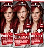 Brillance Glanz-Tönungsgel T868 Granat Stufe 1 (3 x 60 ml), intensive Fashion-Haarfarbe mit...
