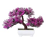 Generisch Künstlicher Bonsai Baum, 25 x 18 cm, Dekorative Kunstpflanze mit Topf für Zuhause, Büro...
