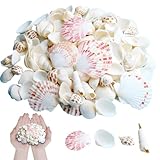 PcvGef 250g Muscheln zum Basteln, Gemischt Ungebohrt, Weiß, für Vase Füllstoffe, Fisch Panzer,...