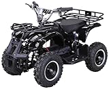 Actionbikes Motors Kinder Elektro Miniquad ATV Torino | 𝟭𝟬𝟬𝟬 Watt 𝟑𝟔 Volt -...