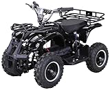 Actionbikes Motors Kinder Elektro Miniquad ATV Torino | 𝟭𝟬𝟬𝟬 Watt 36 Volt -...