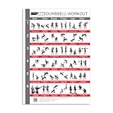 CLEAN SPORTS® Kurzhantel Workout Poster DinA1 mit sechs Ganzkörperworkouts zum Nachmachen |...