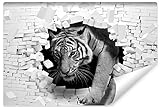 Muralo Vlies Fototapete 180 x 120 3D Effekt Tiger Tapete Tiere Katze Explosion Ziegel Wohnzimmer...