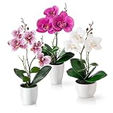 PASCH® Kunstblumen im Topf (35cm) - 3er Set Orchideen künstlich abgestimmtes Arrangement in...