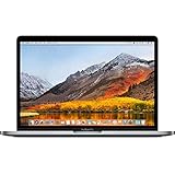 2018 Apple MacBook Pro mit 2.9GHz Intel Core i9 (15-Zoll, 16GB RAM, 1TB SSD) (QWERTZ German) Silber...