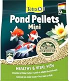 Tetra Pond Pellets Mini - Fischfutter für kleine und junge Teichfische, unterstützt gesunde Fische...