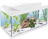Tetra Starter Line 54 L Aquarium Weiß, Komplett-Set - inkl. Tag- & Nachtlicht LED-Beleuchtung,...