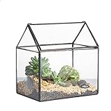 NCYP 15,5x11x16 cm Kleines Geometrisches Terrarium, Haus-Form, Glas, schließbar, Gewächshäuschen...