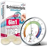 Schimmeltest + Thermohygrometer: Zum Check der Schimmelbelastung für bis zu 6 Räume. Inkl....