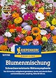 Kiepenkerl Profi-Line Blumenmischung Schneckenresistente Blütensymphonie 1071700 -...