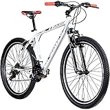 Galano Mountainbike Hardtail 26 Zoll Path MTB Fahrrad 21 Gang Mountain Bike 26' (weiß/schwarz, 46...