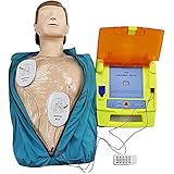 Lehrmodell, 11 Halbkörper-Hlw-Erste-Hilfe-Trainingspuppenmodell – Übungspuppe...