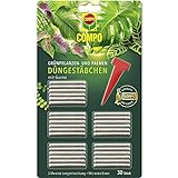 COMPO Grünpflanzen- und Palmen Düngestäbchen mit Guano, Dünger mit 3 Monaten Langzeitwirkung, 30...