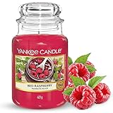 Yankee Candle Duftkerze im Glas (groß) | Red Raspberry | Brenndauer bis zu 150 Stunden