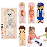 Puzzle für den menschlichen Körper – pädagogisches Anatomie-Lernspielzeug, interaktives...