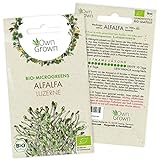 Microgreens Samen Alfalfa: 900 Bio Alfalfa Samen zur leichten Keimsprossen Anzucht – Keimsprossen...