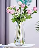 klar Glas Vase Für Moderne Heimdekoration - Flower Vase Für Pampasgras - nordischer Boho-Stil...