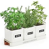 PERFNIQUE Kräutergarten für den Innenbereich, Pflanzgefäß-Set mit Tablett,...