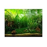 Aquarium Hintergrund Poster Wasser Gras Stil Aquarium Hintergrund PVC Adhesive Wanddekorationen...