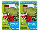 PROTECT GARDEN Curamat Rosen-Pilzfrei (ehem. Bayer Garten Baymat), Pilzbekämpfung an Rosen und...