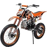 Actionbikes Motors Kinder Jugend-Cross-Dirtbike JC125 cc 17/14 | Scheibenbremsen - Kickstarter -...