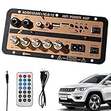 Auto Audio Verstärker Platine, Auto Verstärker Platine, Stereo AMP Modul 12V und 24V mit...