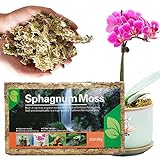 zting Sphagnum Moos Blumenerde | Natürliche Sphagnum-Moos-Erde-Mischung | Tolle...