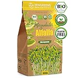 ZenGreens® - Bio Alfalfa Sprossen-Samen (1Kg) in Premium Qualität - Alfalfa Samen mit Keimrate von...