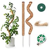 KINGLAKE 120CM Rankhilfe Monstera Biegbar,2 Stück Kokosstab Monstera, Stab für Monstera mit...