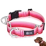 Arblina Martingale Hundehalsband, Reflektierendes Zugstopp Halsband Hunde für Große Mittlere und...