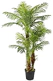 Große Künstliche Palme Deluxe 180cm mit 3 Stämmen und 30 Palmenwedel Kunstpflanze Kunstpalme...