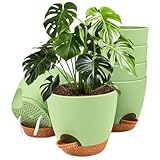 LustLocke 6 Packs Blumentopf, Pflanzkübel Selbstbewässernd 15.2cm, Mit Brauner Untertasse,...