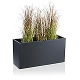 DECORAS Pflanztrog/Blumentrog (Anthrazit-Matt) - Großer, robuster Fiberglas-Blumenkübel für...