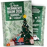 valeaf Weihnachtsbaum 2030 I Blaufichte Pflanzen Samen zum Weihnachtsbaum pflanzen I Weihnachtsbaum...
