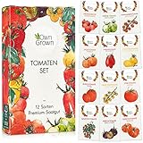 Tomaten Samen Set : 12 Sorten Tomatensamen Set für Garten und Balkon – Tomaten Anzuchtset –...