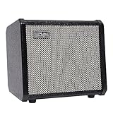 TS20 Bass Combo Amp -20W passend für Bassgitarre, mit 2 Jahren Garantie 6,5 Zoll Lautsprecher, mit...